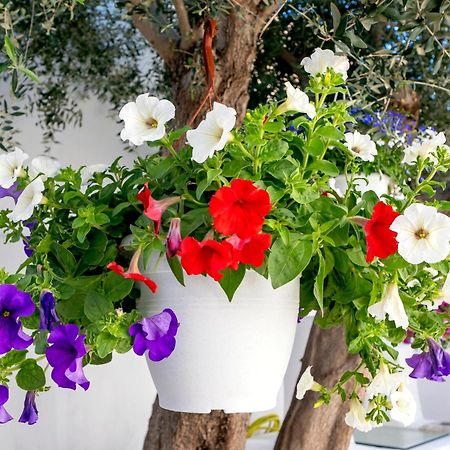 Villa Del Capo Suites Rhodes City Buitenkant foto