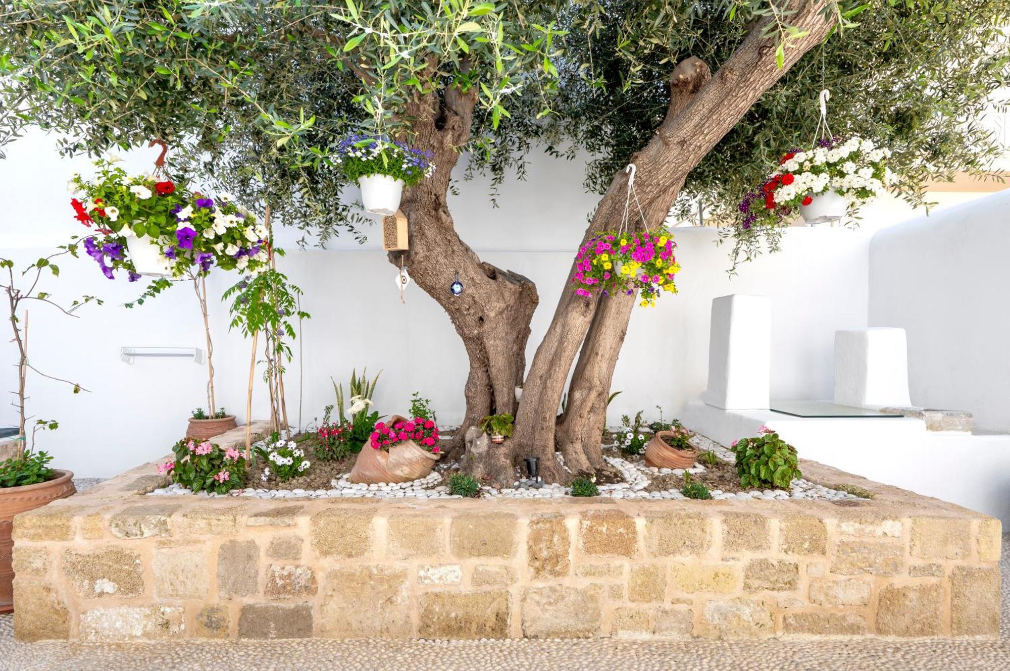 Villa Del Capo Suites Rhodes City Buitenkant foto